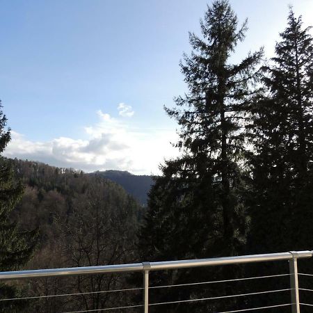 Gite Esperanza Spa Et Sauna Haselbourg Εξωτερικό φωτογραφία